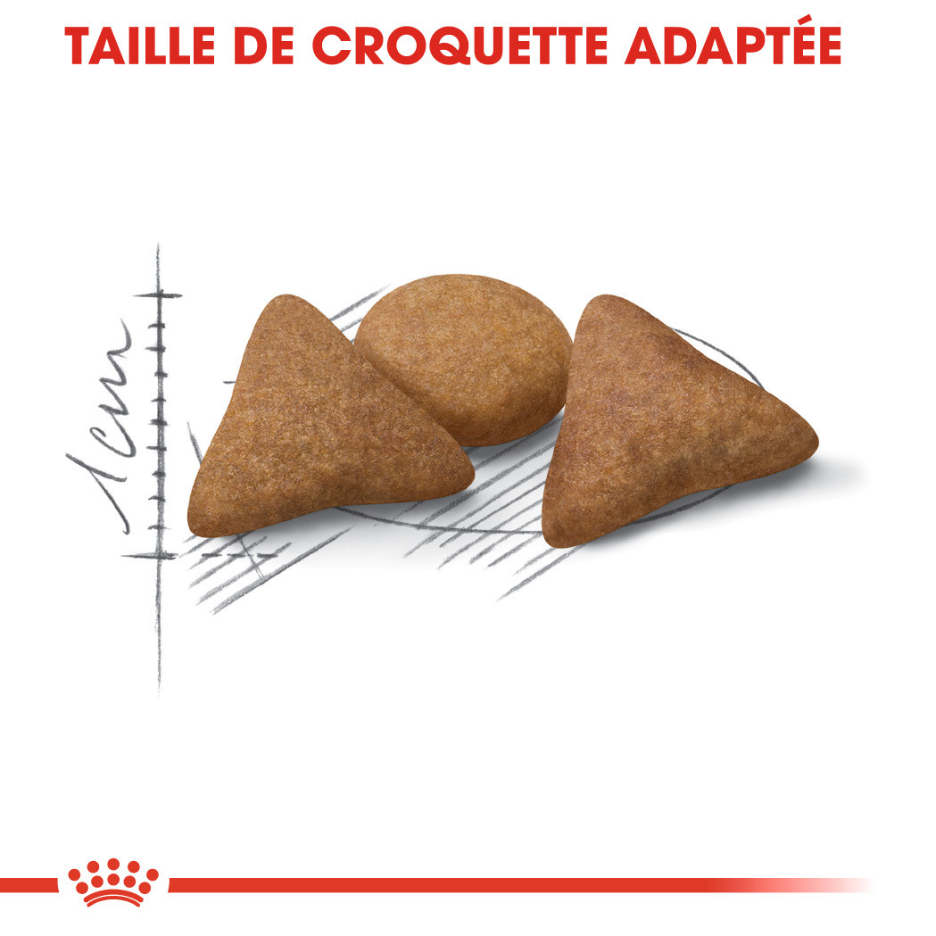 Royal Canin Indoor Appetite Control Pour Chat Brekz Ch
