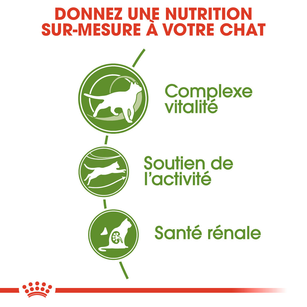 Royal Canin Chat Outdoor 7+