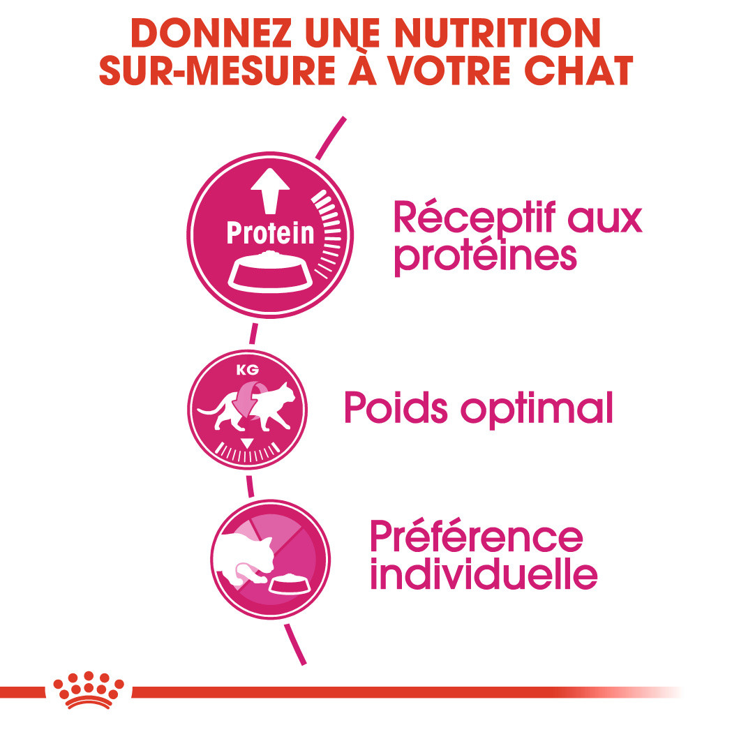 Royal Canin Protein Exigent Chat