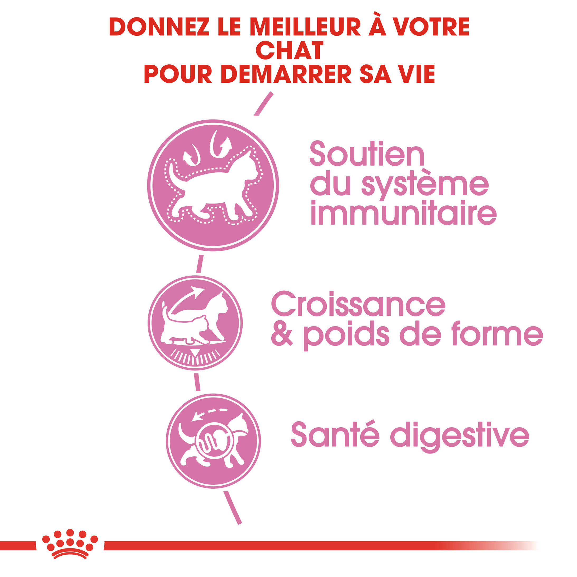 Royal Canin Chaton Sterilised pour chat