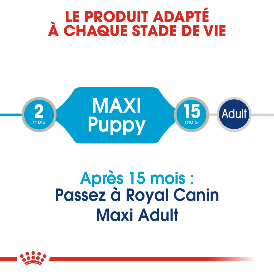 Royal Canin Maxi Puppy natvoer