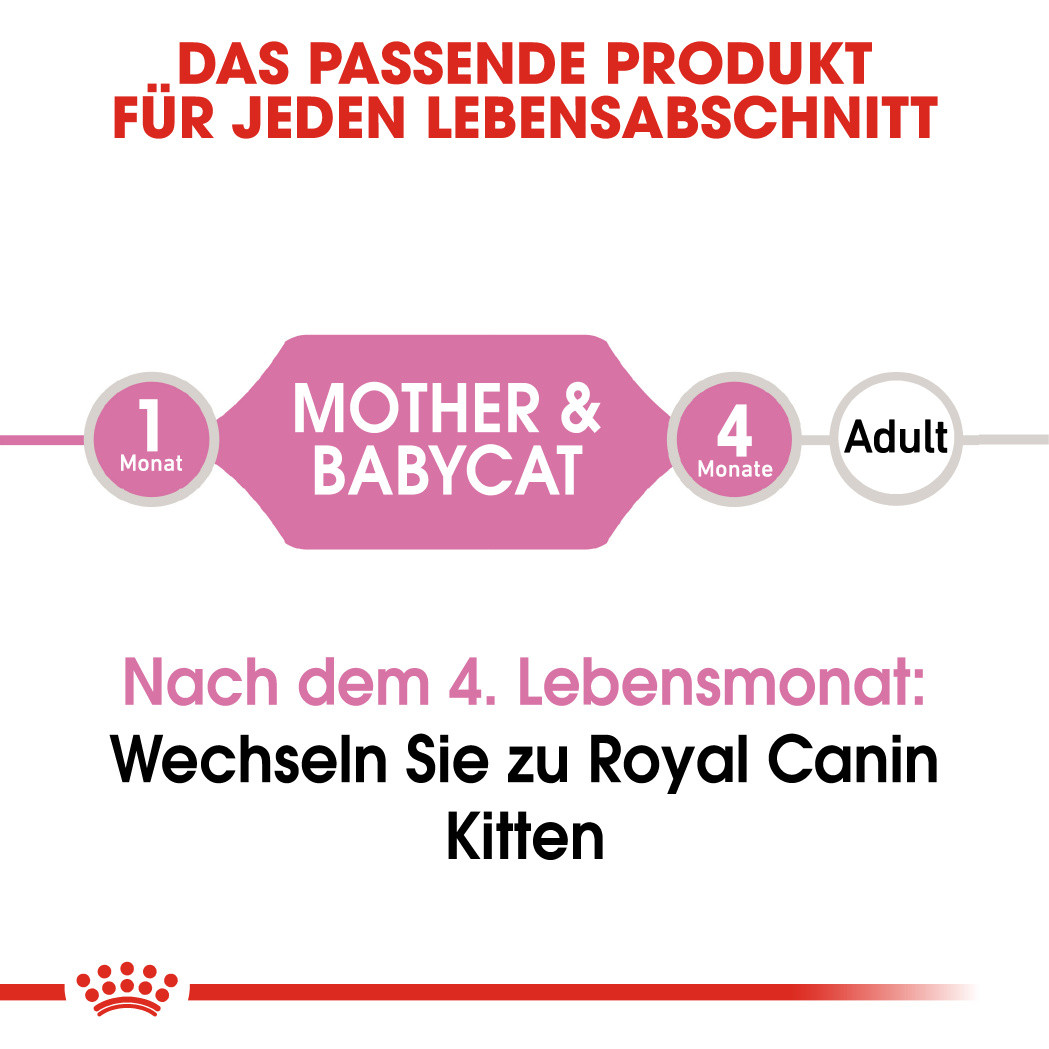 Royal Canin Babycat Instinctive Mousse Katzenfutter