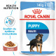 Royal Canin Maxi Puppy Sachets pour chiot