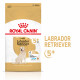 Royal Canin Adult 5+ Labrador Retriever pour chien