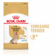 Royal Canin Adult 8+ Yorkshire Terrier Hundefutter