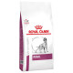Royal Canin Veterinary Renal pour chien