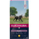 Eukanuba Puppy Large Breed au poulet pour Chiot