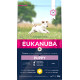 Eukanuba Puppy Small Breed au poulet pour chiot