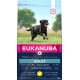 Eukanuba Adult Large Breed poulet pour chien