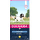 Eukanuba Mature Medium Breed au poulet pour chien