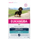 Eukanuba Adult Dachshund Hundefutter