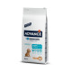 Advance Puppy Protect Medium au poulet et riz pour chien