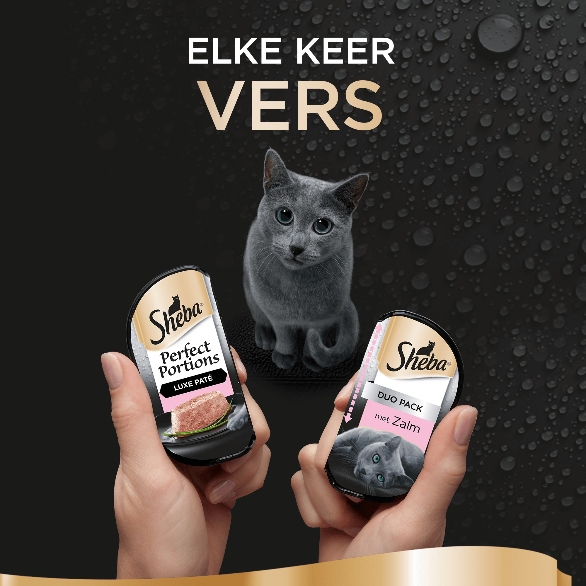 Sheba Perfect Portions Paté met Zalm Kattenvoer