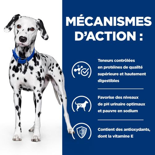 Hill's Prescription Diet U/D Urinary Care pour chien