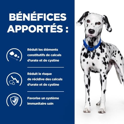 Hill's Prescription Diet U/D Urinary Care pour chien