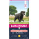 Eukanuba Senior Large Breed au poulet pour Chien