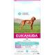 Eukanuba Daily Care Puppy Sensitive Digestion  pour chiot