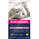 Eukanuba Kitten Huhn Katzenfutter