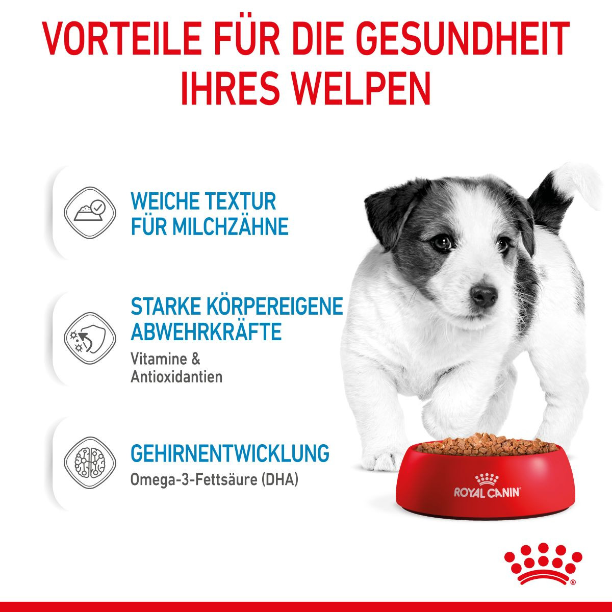 Royal Canin Mini Puppy Nassfutter