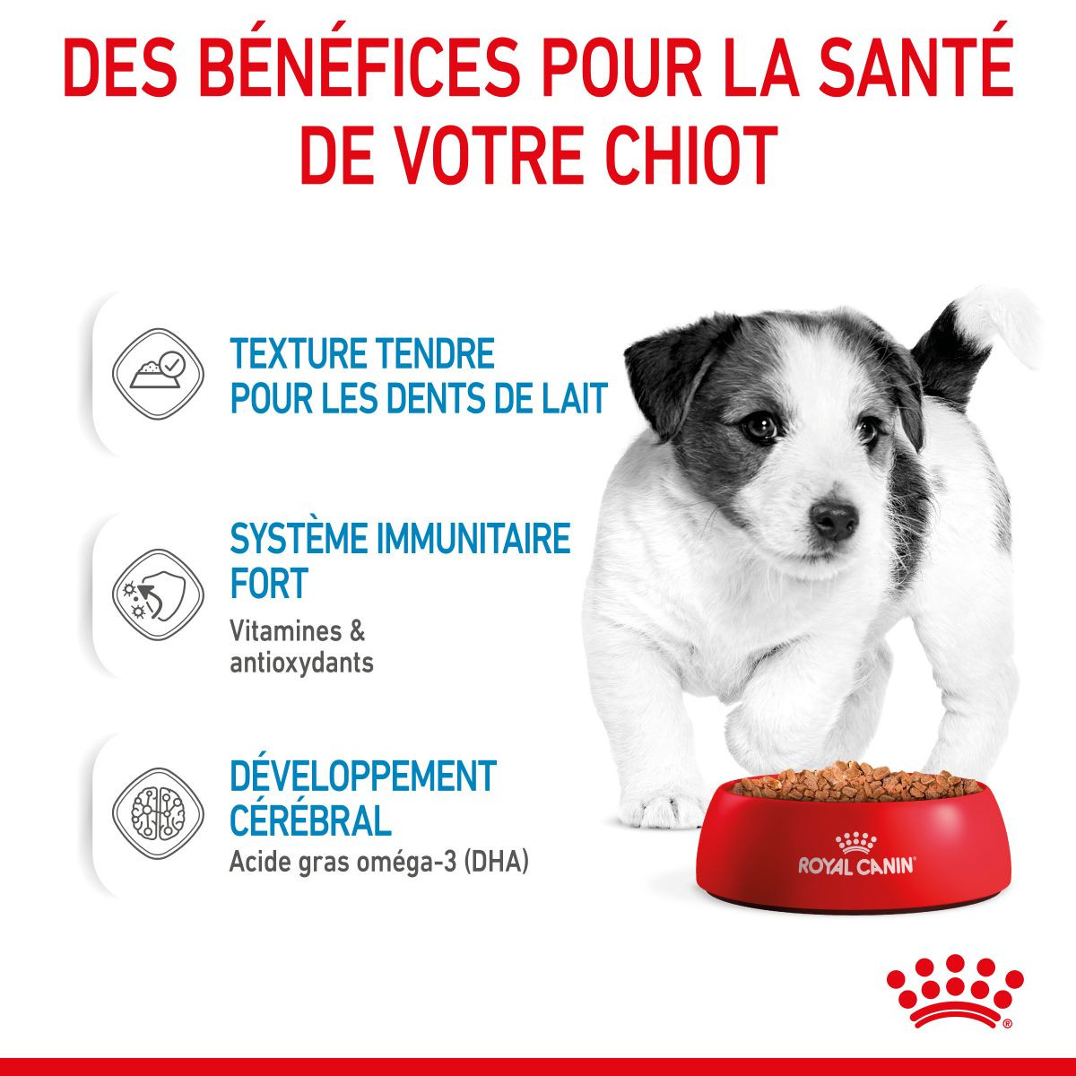 Royal Canin Mini Puppy natvoer