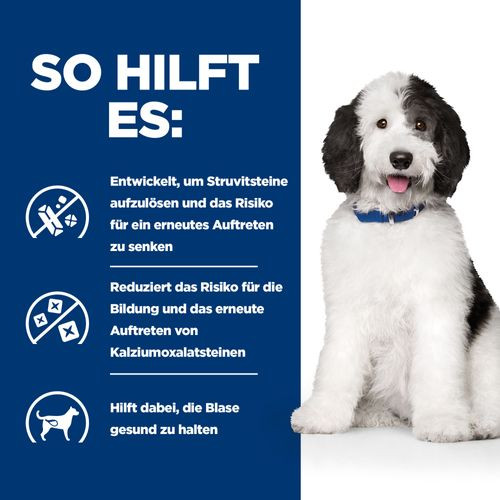 Hill's Prescription Diet C/D Multicare Urinary Care Hundefutter mit Huhn (Dose)