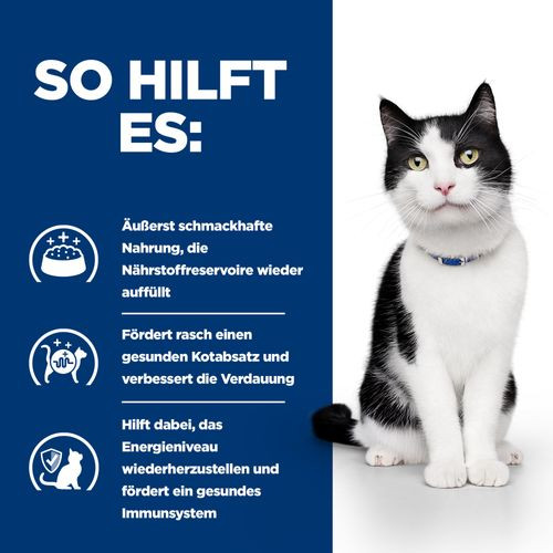 Hill's Prescription Diet i/d met zalm kattenvoer pouch