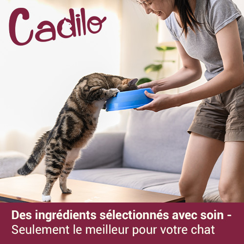 Cadilo Adult Fit kattenvoer