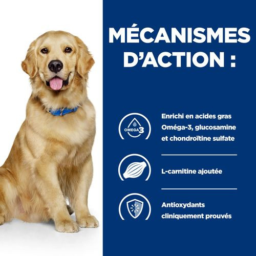 Hill's Prescription Diet J/D Mobility pâtée à l'agneau pour chien (boîte)