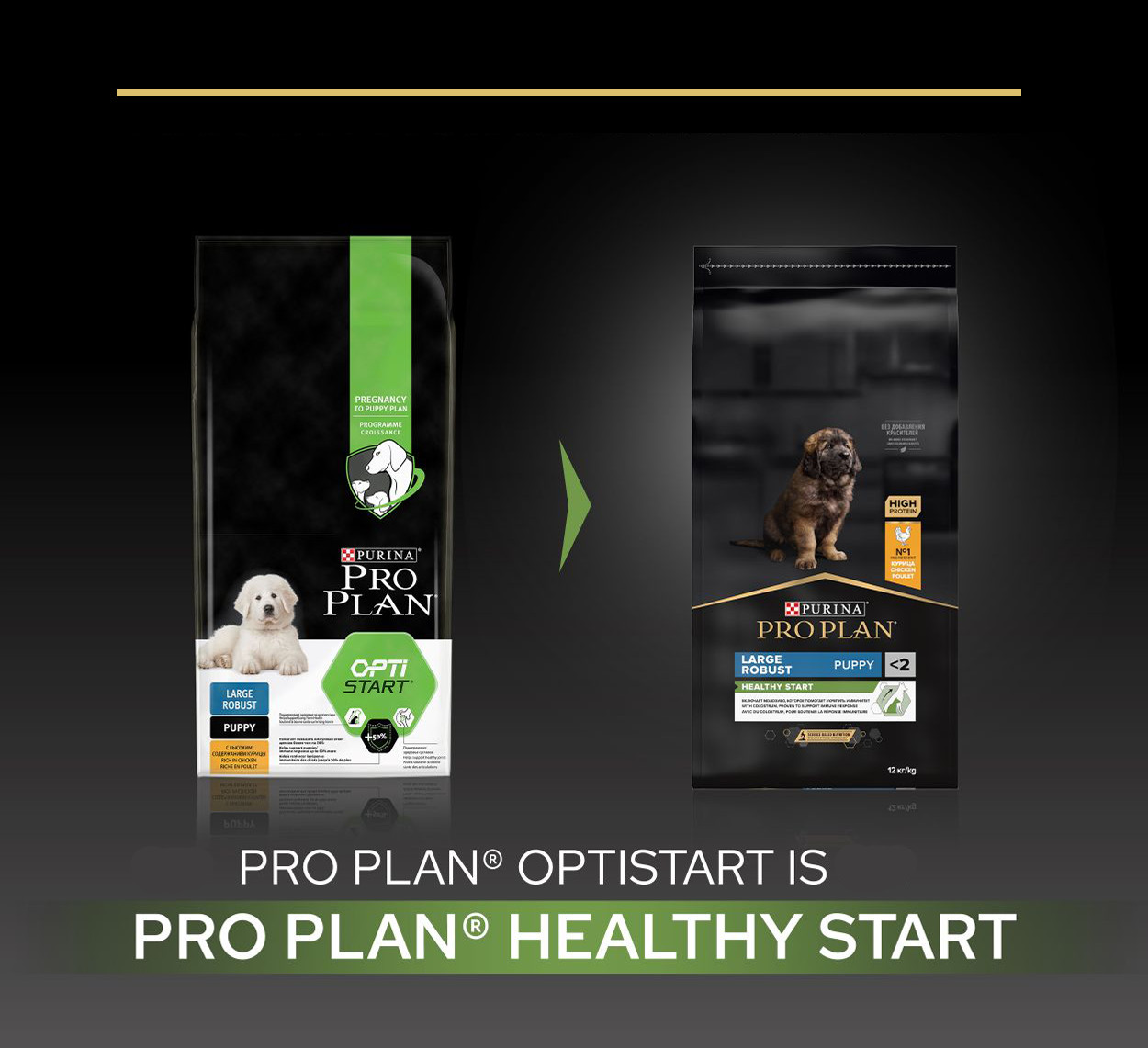 Pro Plan Large Robust Puppy Healthy Start mit Huhn Hundefutter