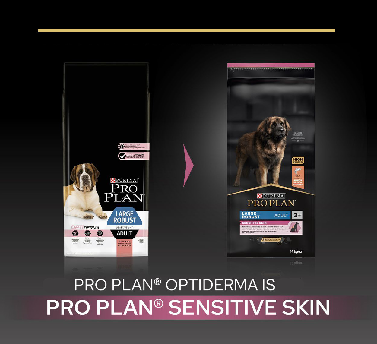 Pro Plan Large Robust Adult Sensitive Skin au saumon pour chien