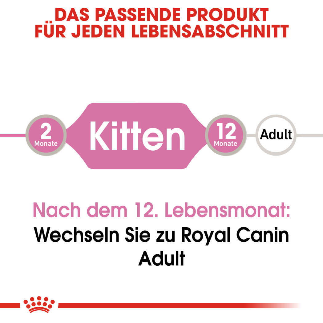 Royal Canin Kitten natvoer in jelly (85 g)