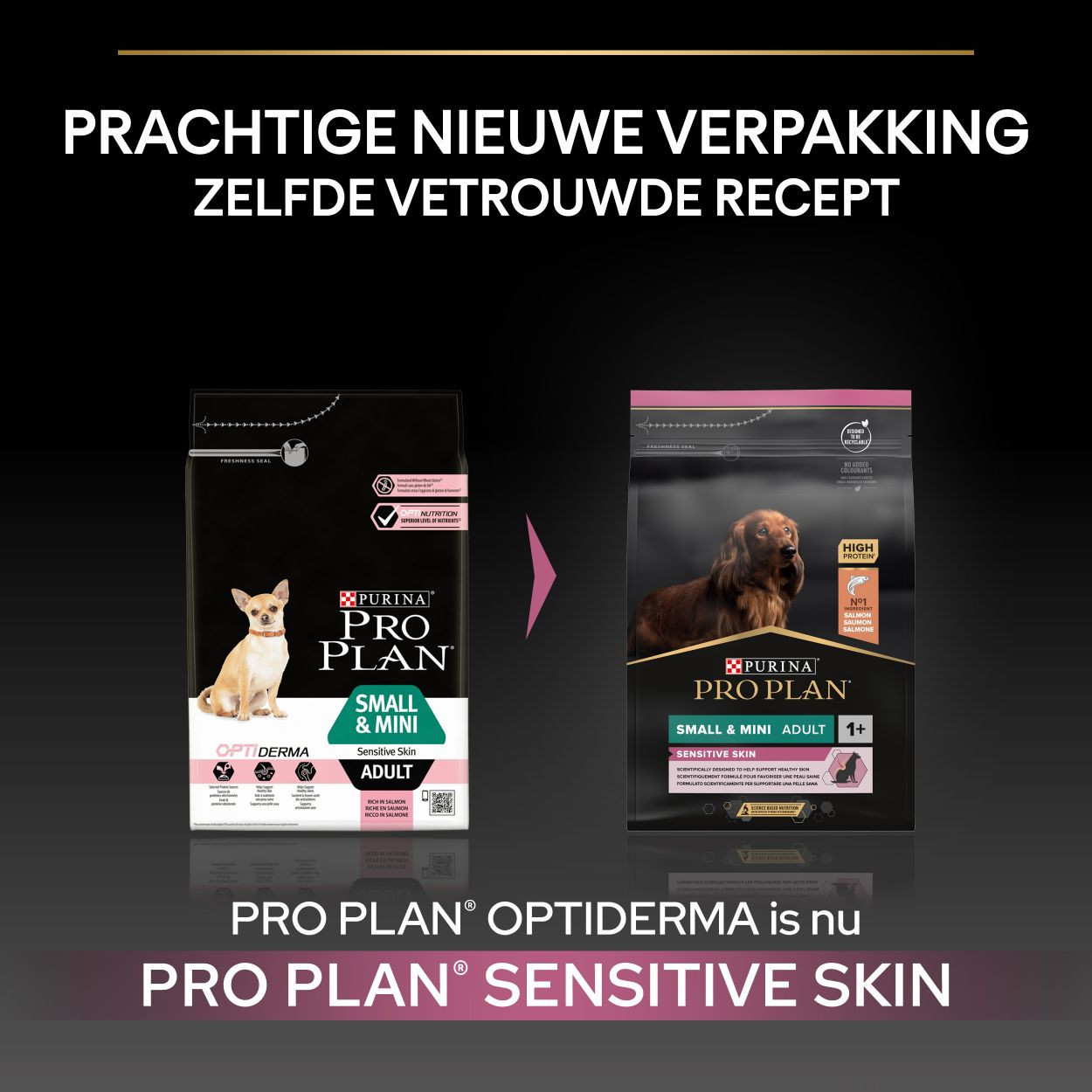 Pro Plan Small & Mini Adult Sensitive Skin mit Lachs Hundefutter