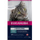 Eukanuba Adult au saumon sans céréales pour chat