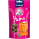 Vitakraft Cat Yums Huhn mit Katzengras Katzenleckerlis (40 g)