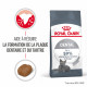 Royal Canin Dental Care pour chat