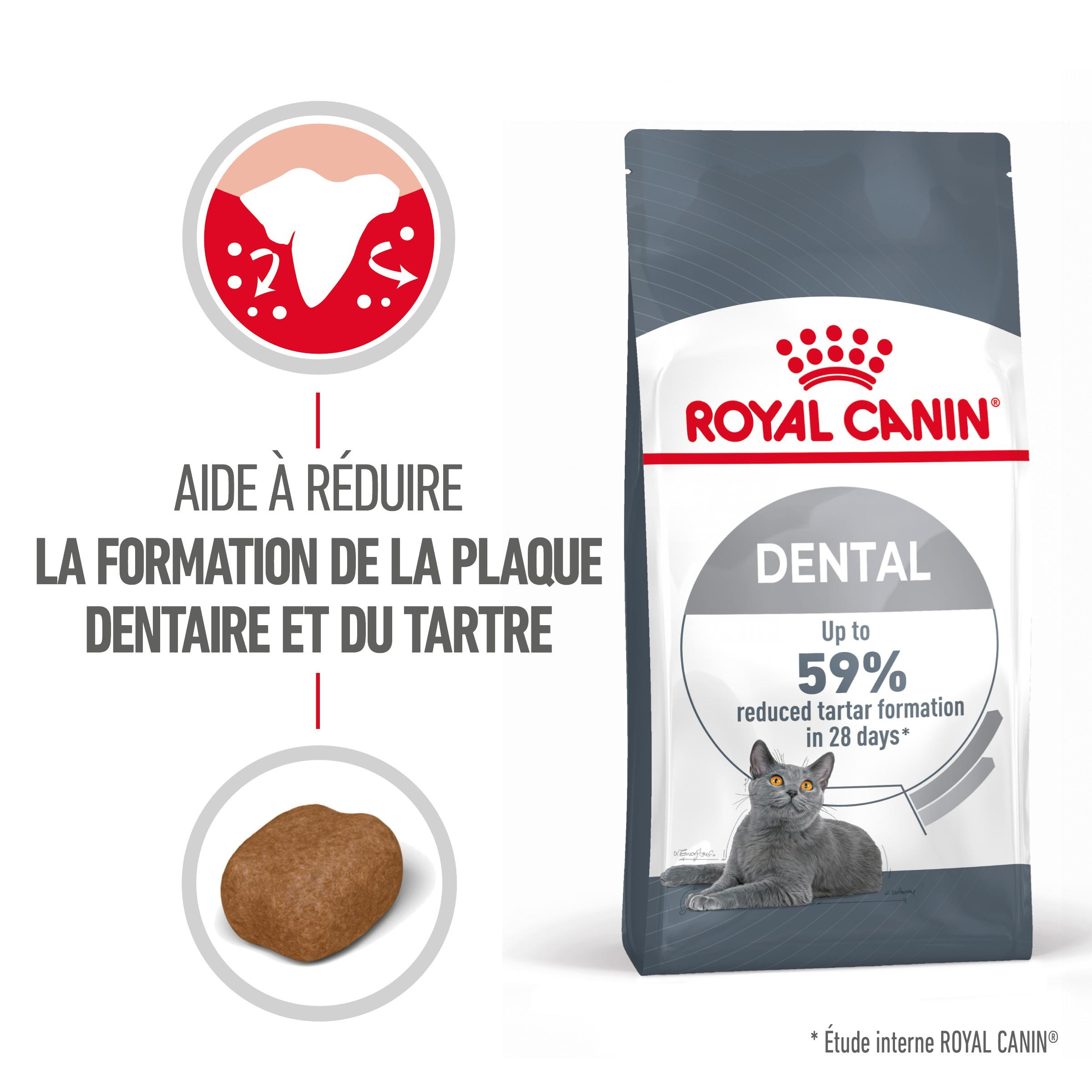 Royal Canin Dental Care pour chat