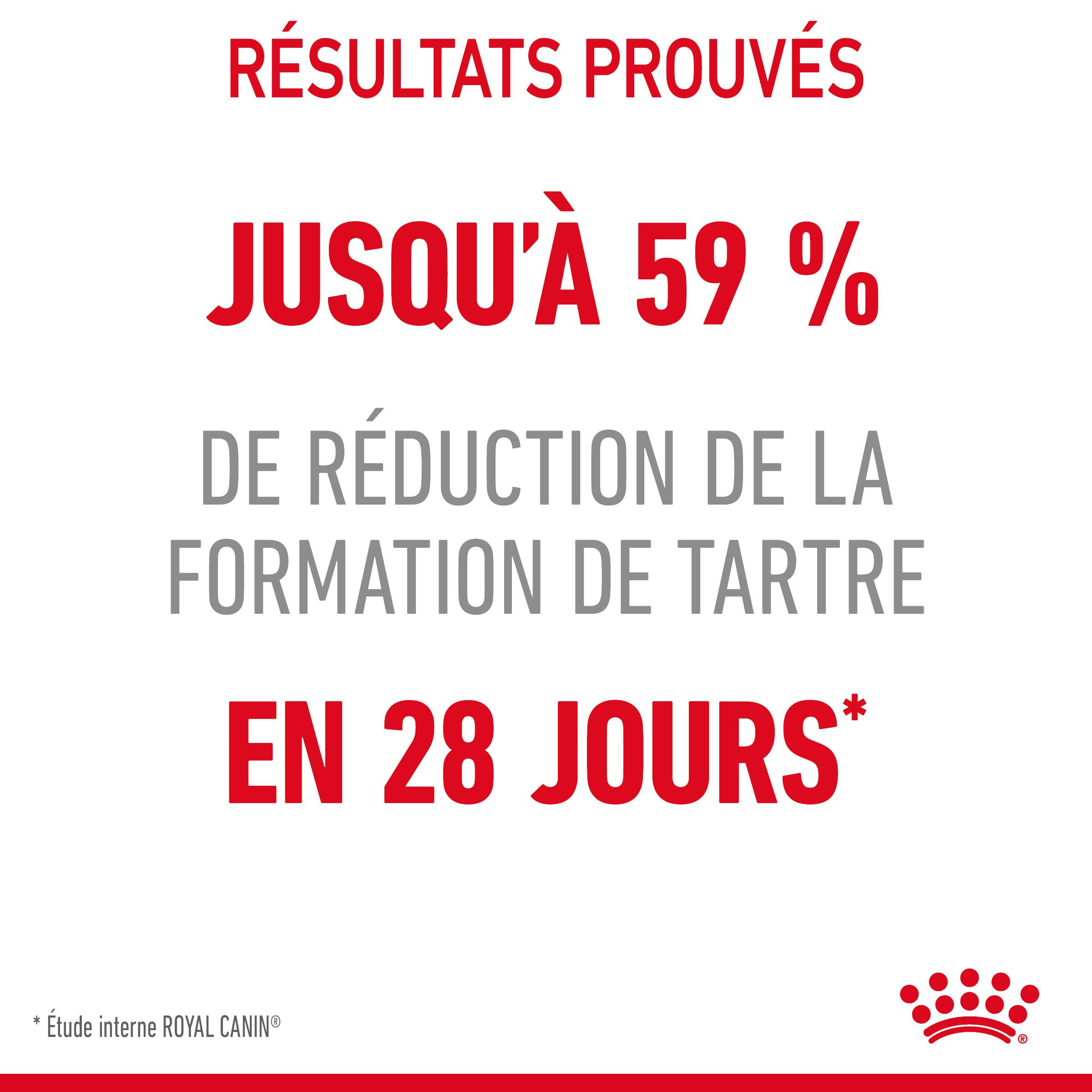 Royal Canin Dental Care pour chat