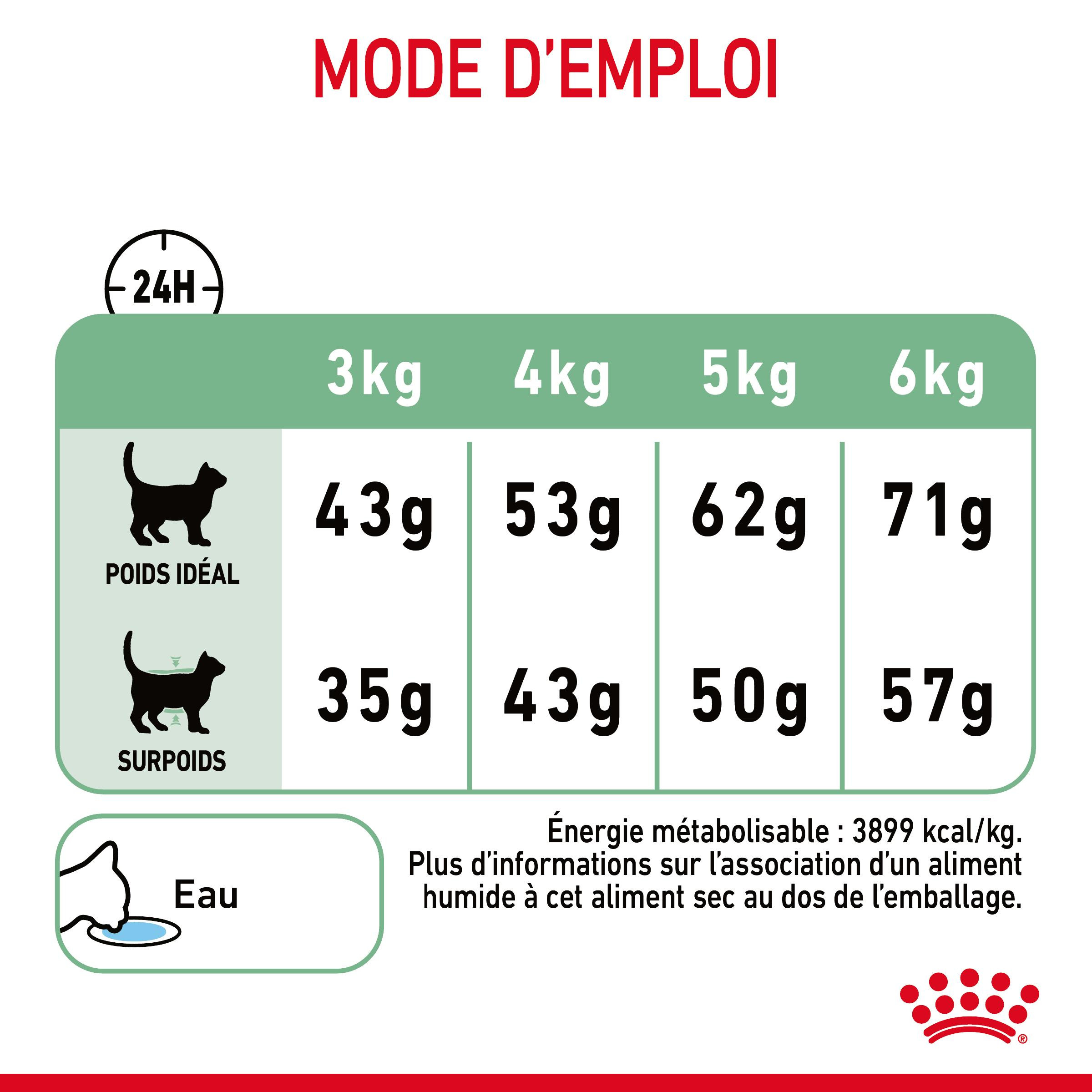 Royal Canin Digestive Care pour chat