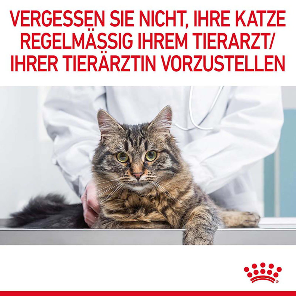 Royal Canin Digestive Care Katzenfutter