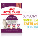 Royal Canin Sensory multipack pâtée pour chat