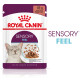 Royal Canin Sensory Feel pâtée pour chat