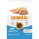 Iams Kitten au poisson pour chaton