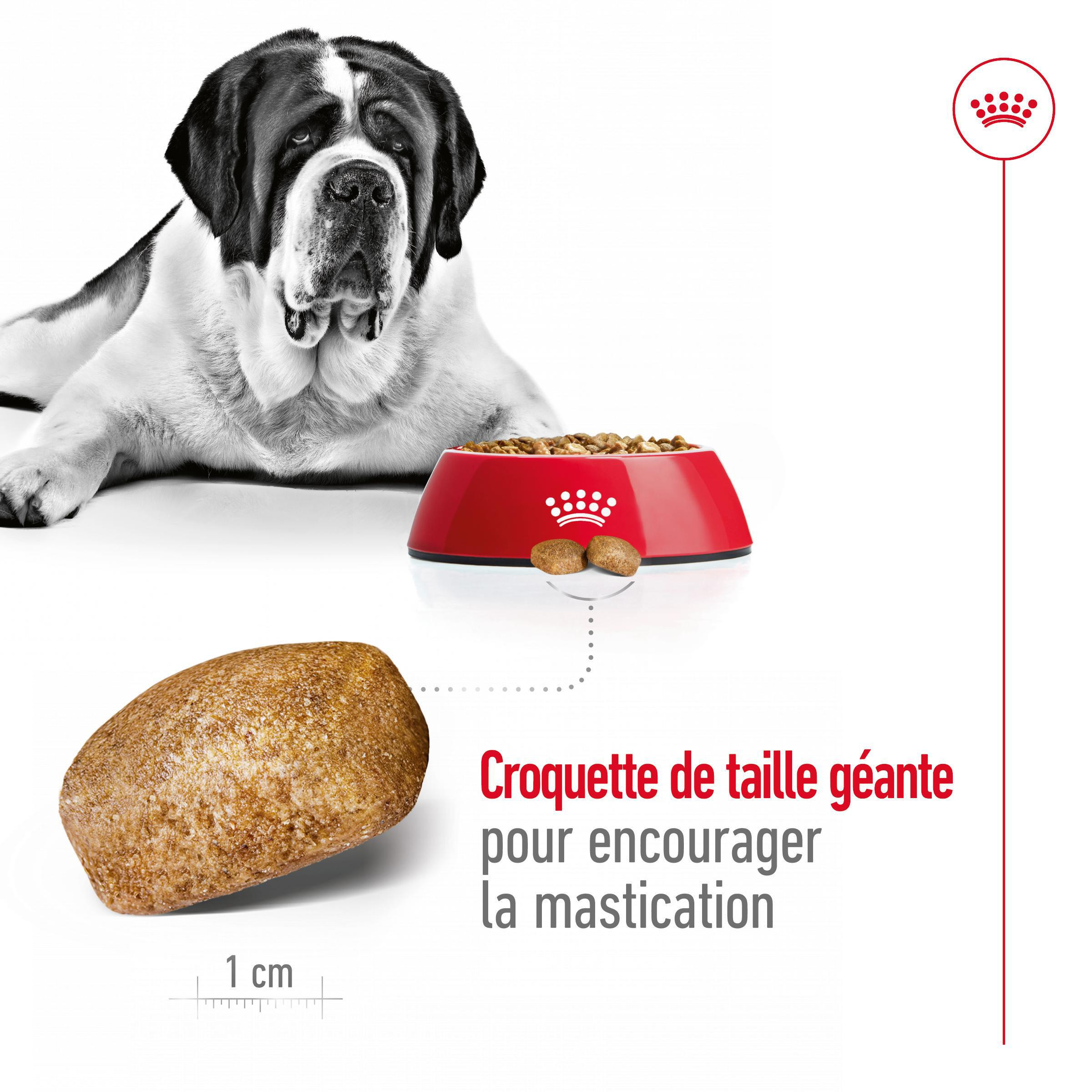 Royal Canin Giant Adult pour chien