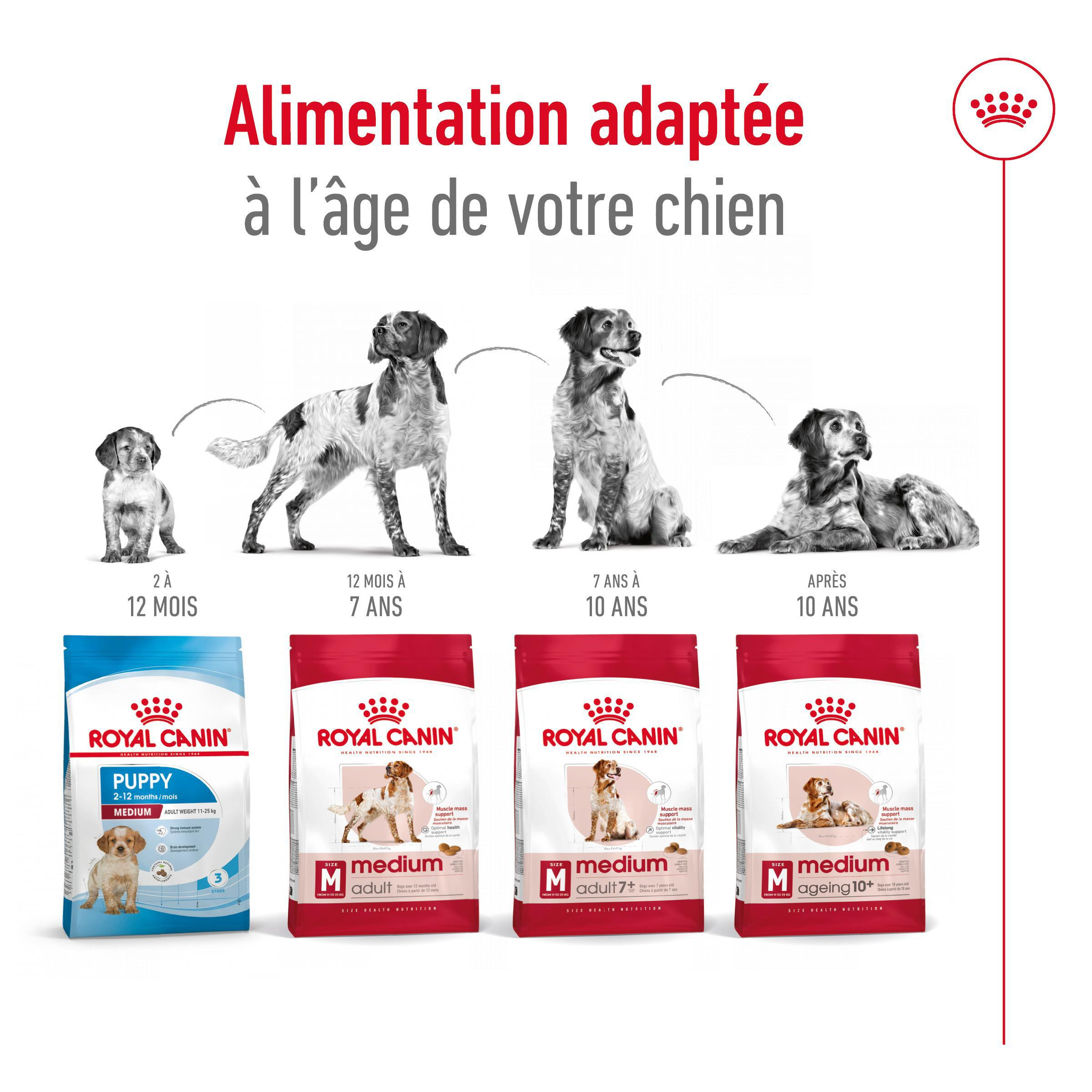 Royal Canin Medium Adult 7+ pour chien