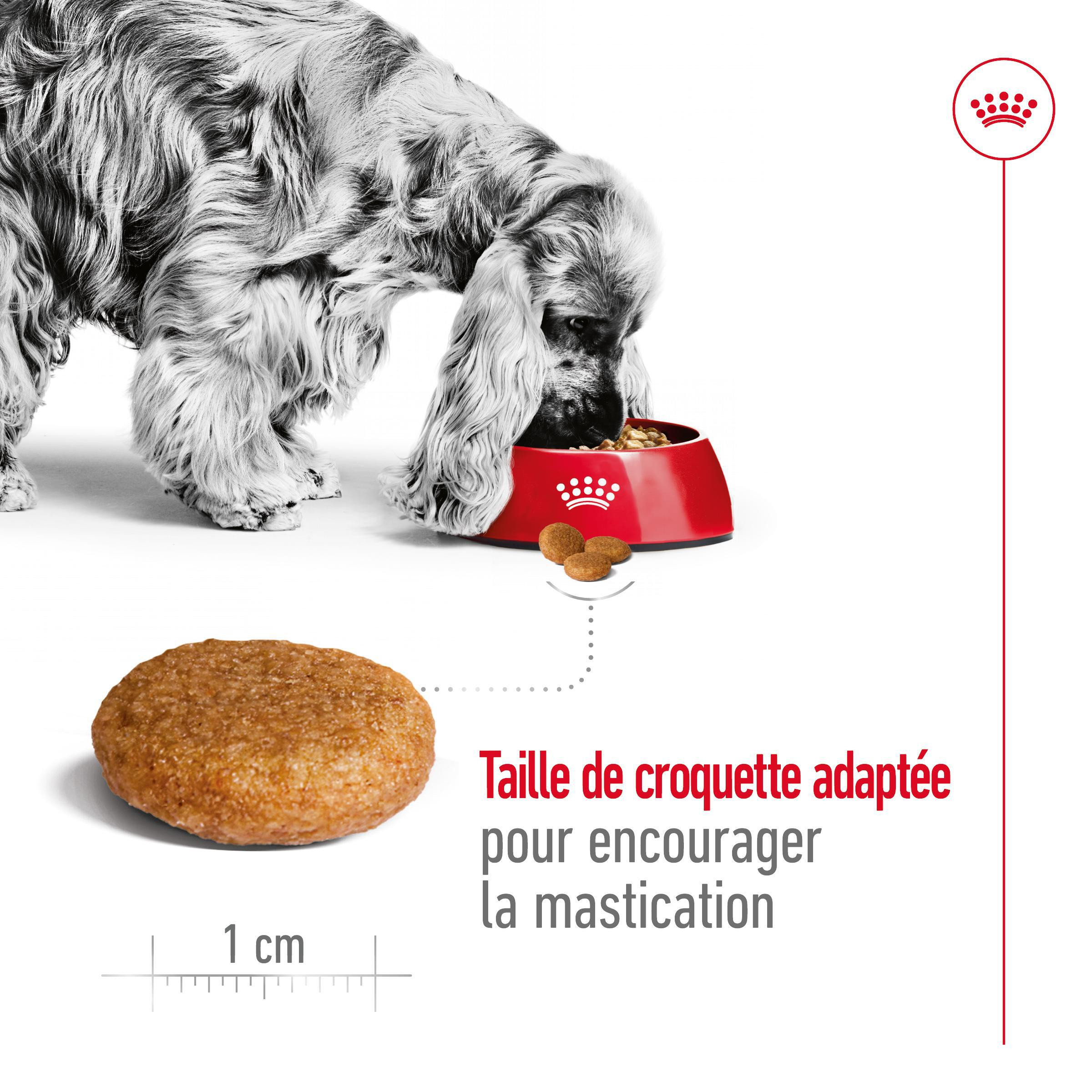 Royal Canin Medium Adult pour chien