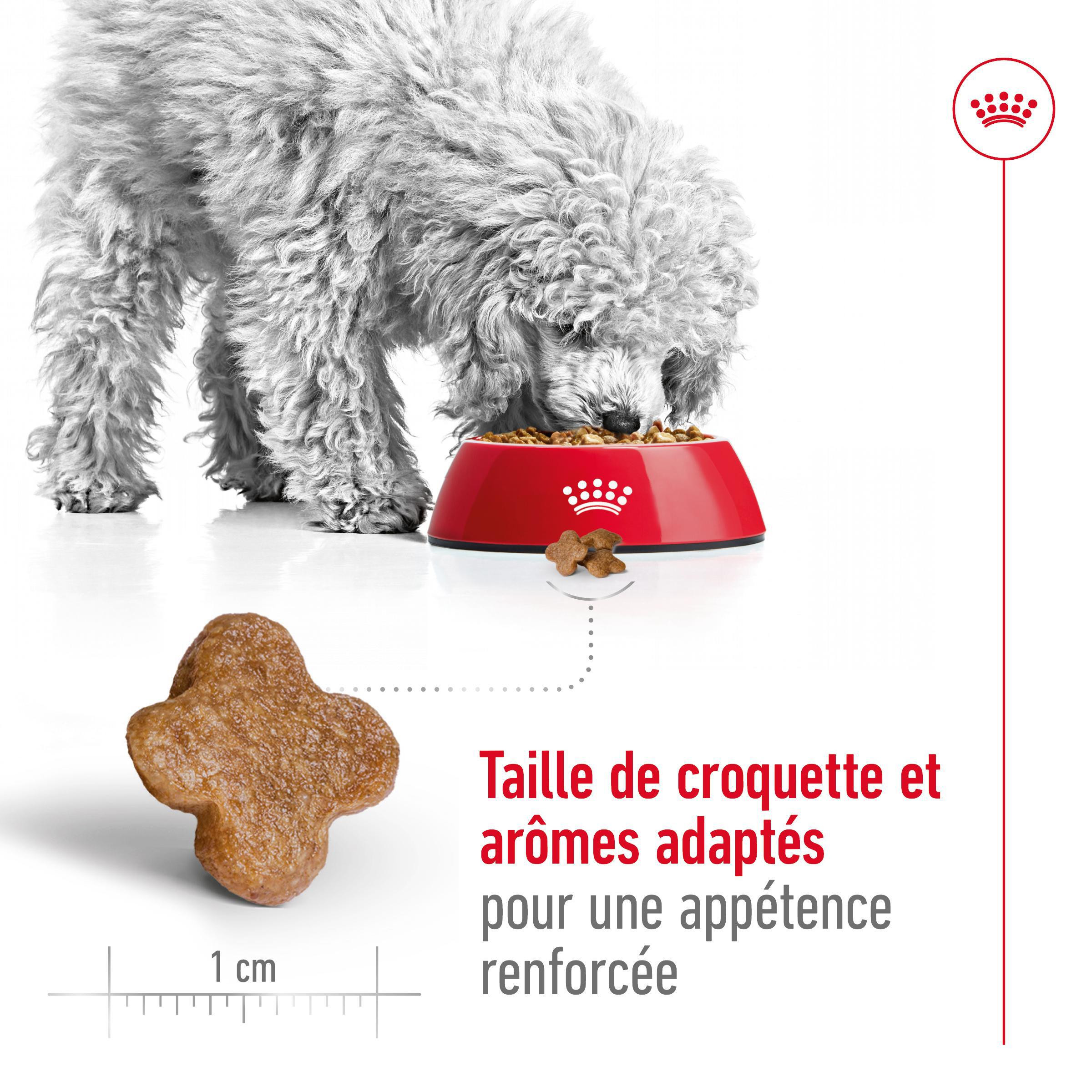 Royal Canin Mini Adult 8+ pour chien