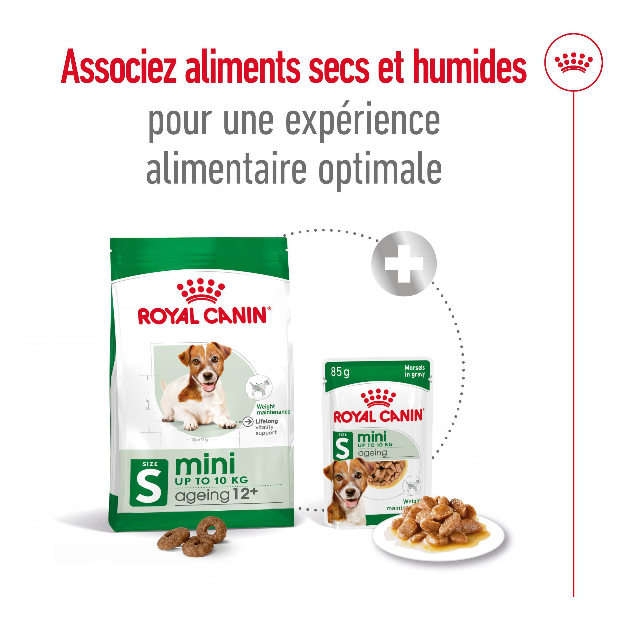 Royal Canin Mini Ageing 12+ pour chien