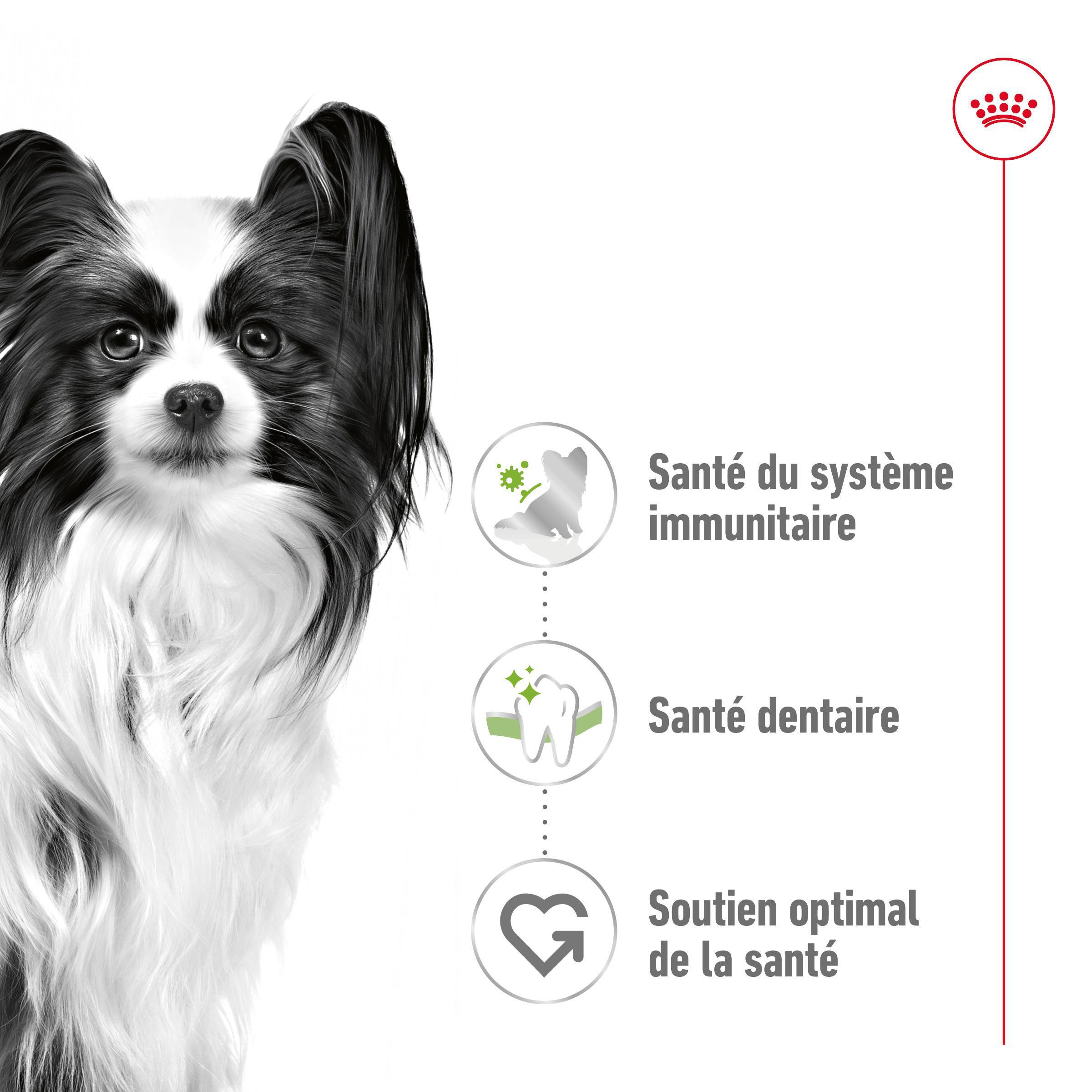 Royal Canin Mini X-Small Adult voor de hond