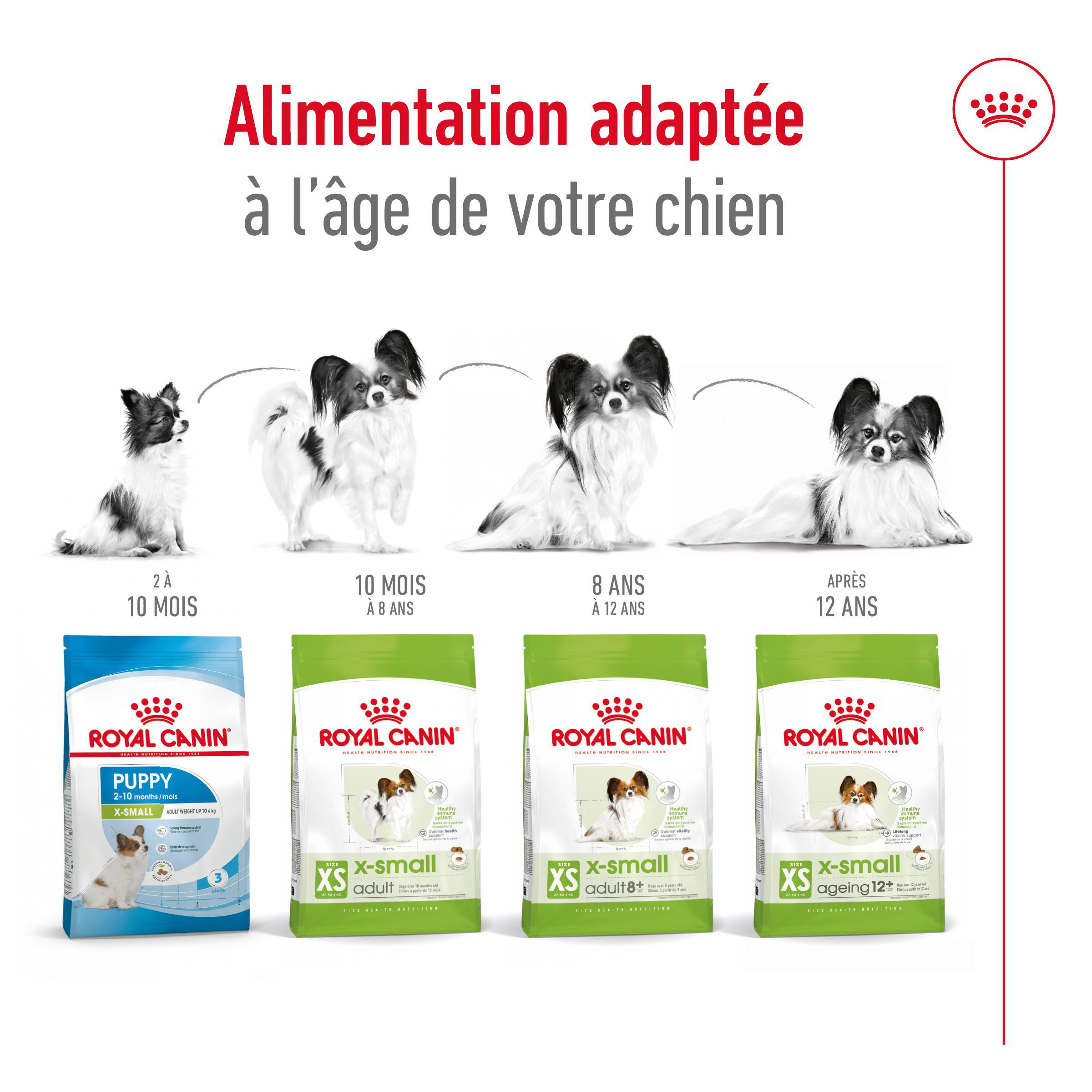 Royal Canin X-Small Ageing 12+ hondenvoer