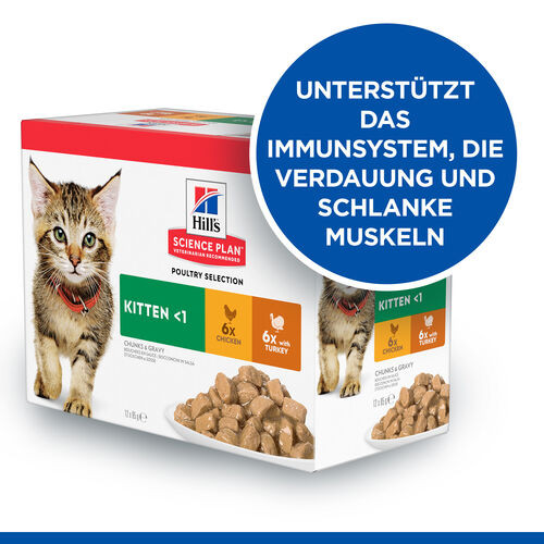 Hill's Kitten Poultry Selection Combi Huhn Truthahn Katzen-Nassfutter